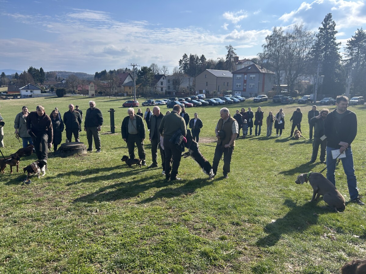 JARNÍ SVOD LOVECKÝCH PSŮ ČESK6Á KUBICE